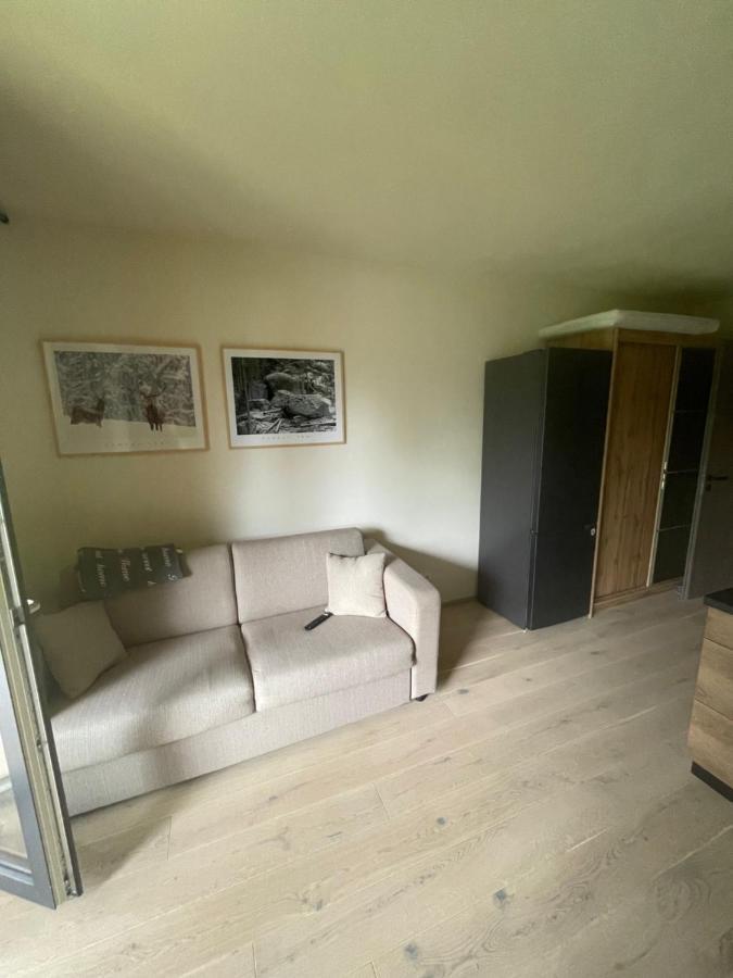 Appartement Apartman Pod Jasanem Hojsova Straz Brcalnik à Železná Ruda Extérieur photo