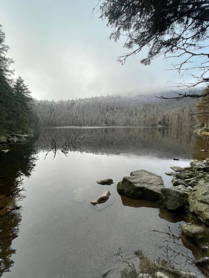 Appartement Apartman Pod Jasanem Hojsova Straz Brcalnik à Železná Ruda Extérieur photo