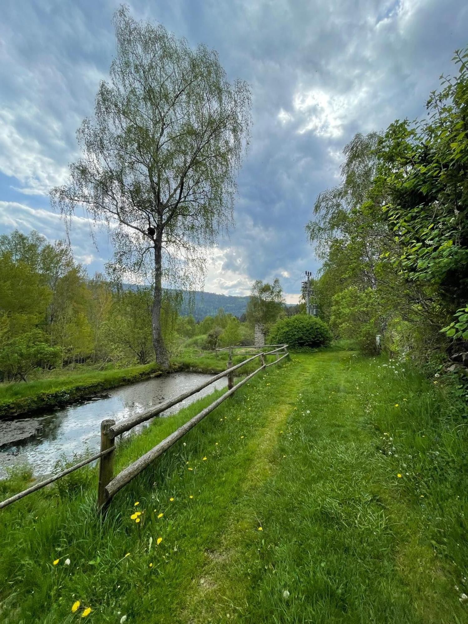 Appartement Apartman Pod Jasanem Hojsova Straz Brcalnik à Železná Ruda Extérieur photo